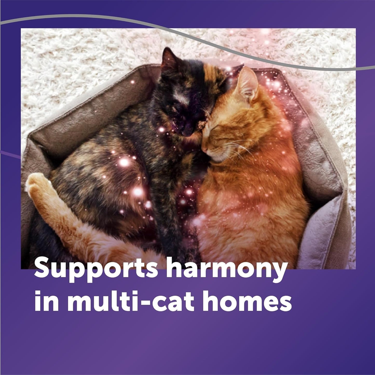 FELIWAY Optimum Cat Calming Diffuser Refill (3 Pack, 90 Day Supply) – Cat Pheromone Diffuser Refill for Advanced Support to Reduce Stress, Spraying, Scratching, Fighting and Hiding